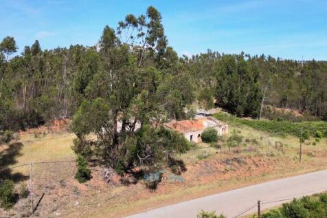 lots of native trees