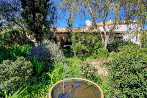 cottage garden