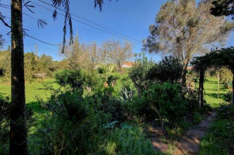 pretty paths through the garden