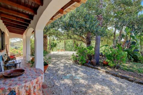 views over the beautiful mature garden