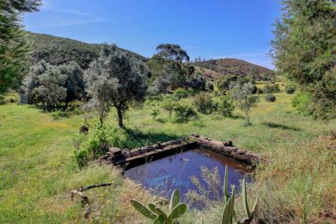 water deposit for fruit trees and vines