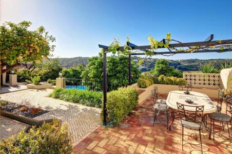 pergola with grape vines
