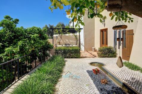 mediterranean plants and succulents