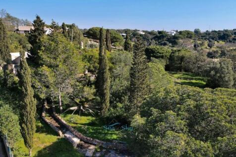 pathways through garden