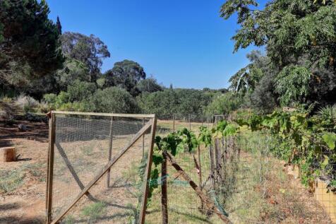 vegetable patch