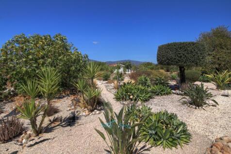 easy manageable gardens