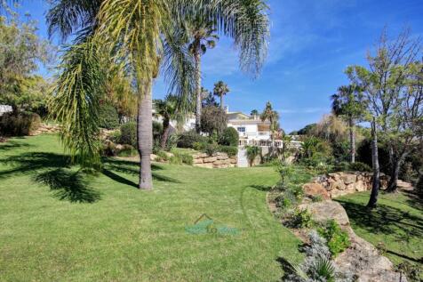 palms &amp; lawns