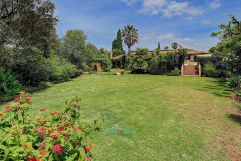 extensive lawn