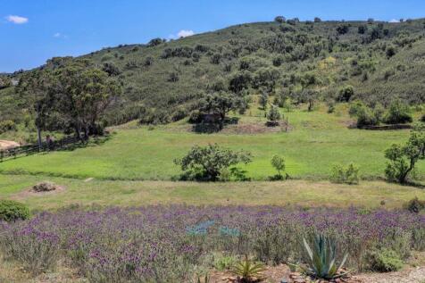 wild lavender
