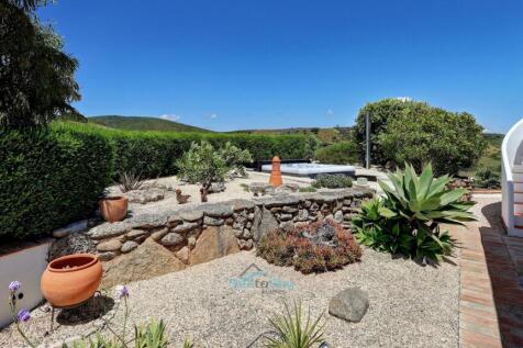 low maintenance gardens