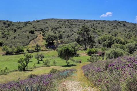 path to meadow