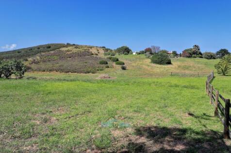flat meadow