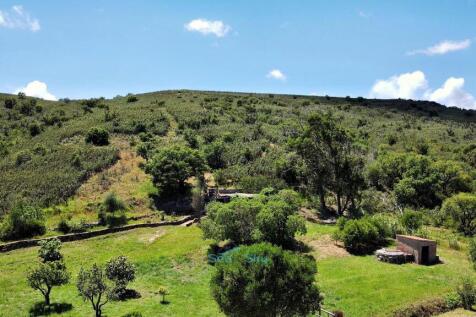 meadow &amp; hillside