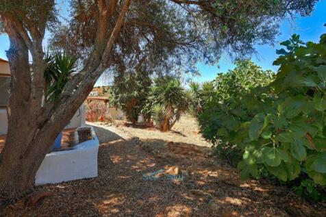 lovely shaded area