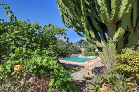 pool and garden
