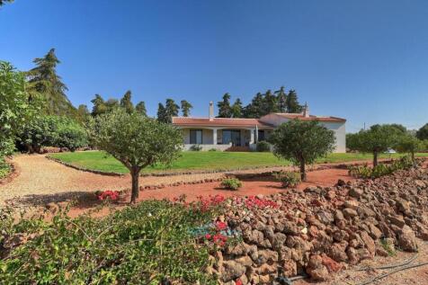 land with fruit trees