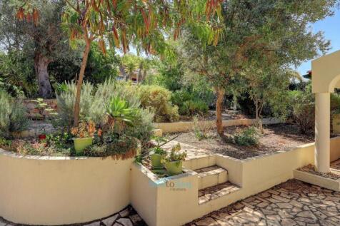 pathways through garden