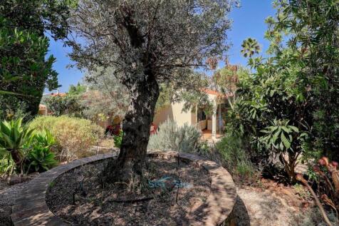 mature trees and plants