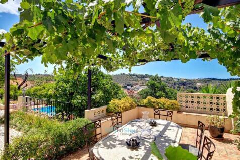 grape vines for shade