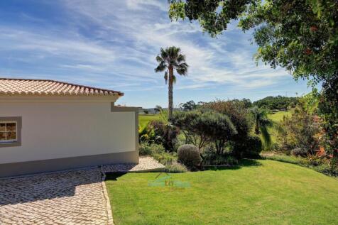 view as you drive in