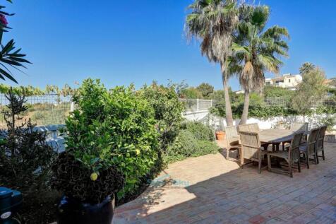 lemon tree and strawberries