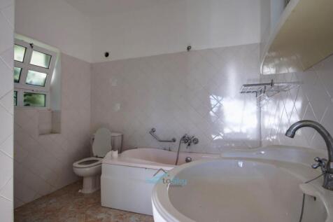 main house - master bathroom