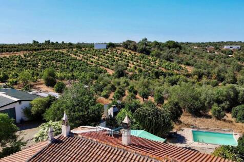 views over vineyards and orchards