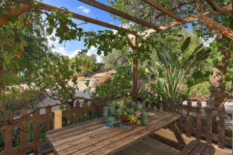 pergola with grape vine