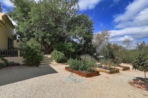 raised vegetable beds