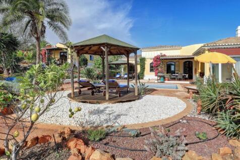 garden with automatic irrigation