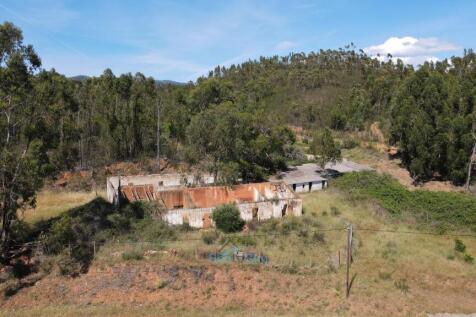 peace and tranquility