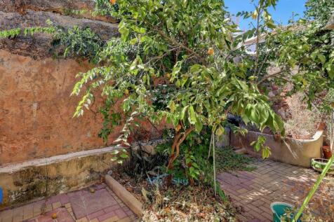 lemon tree against castle wall