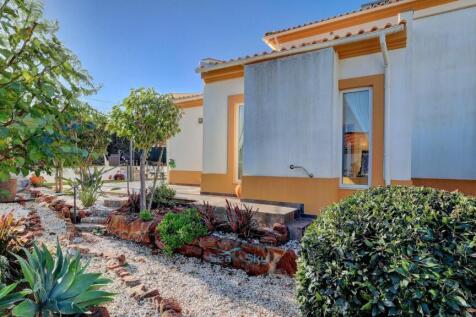 pathways through garden