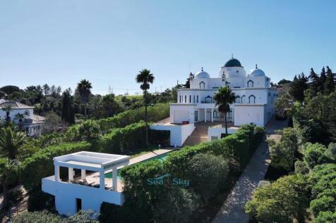 pool and back of property