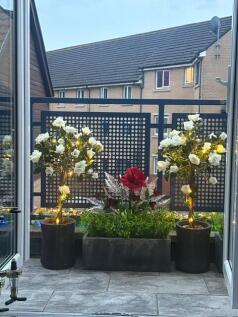 balcony 2