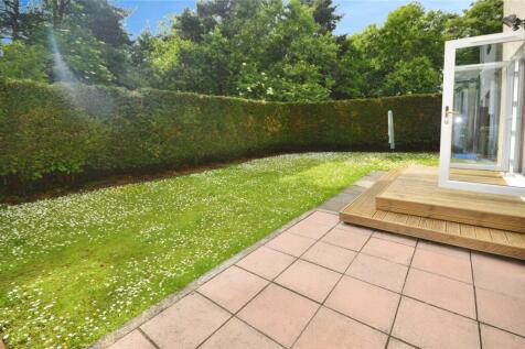 Back Garden