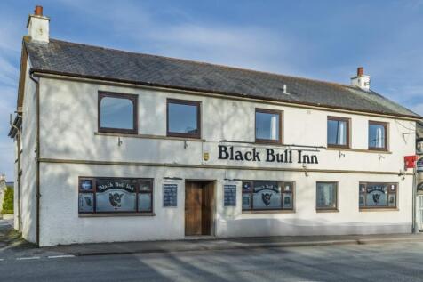 BlackBull_230-HDRv2
