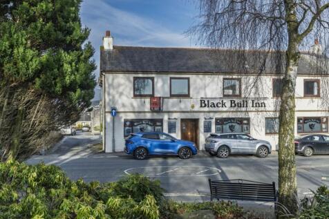 BlackBull_242-HDR