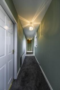 BlackBull_102-HDR