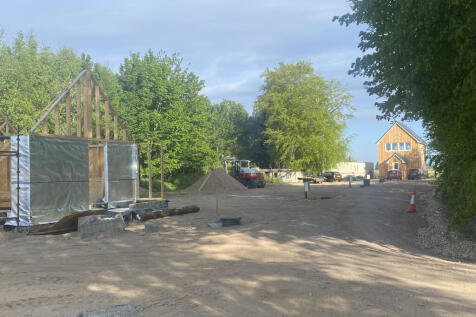 IMG_2065.jpeg