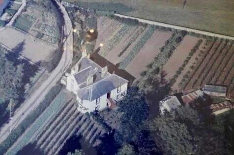 41847642.jpeg?v&#61;