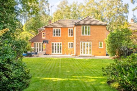 Property Image 14