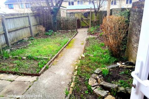 garden winter