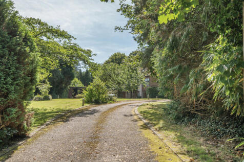 Sweeping Driveway