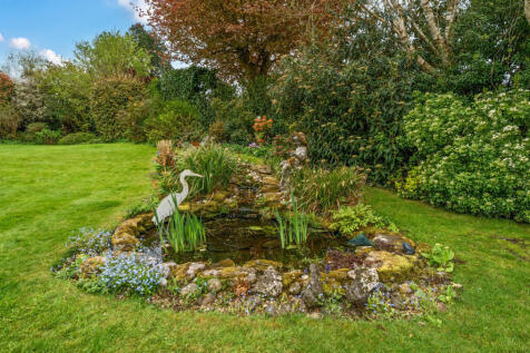 Pond