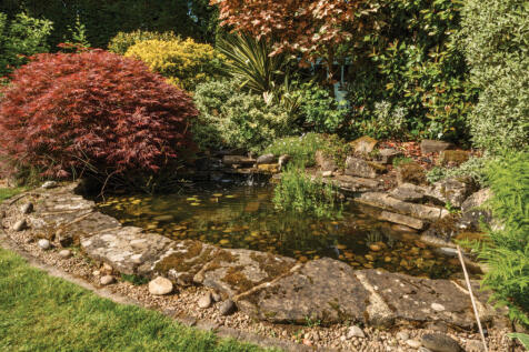 Pond