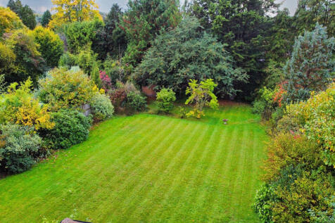 Large Lawn