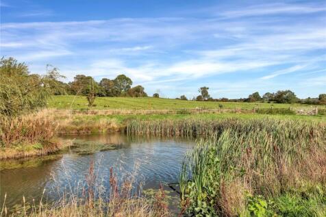 Pond