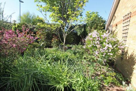 Property Image 22