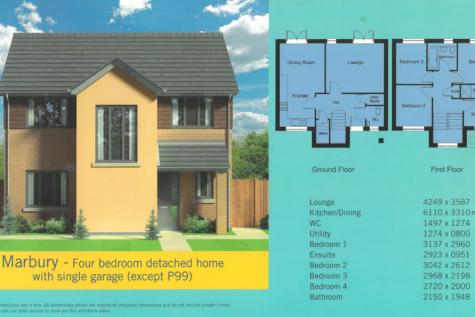 Floorpan